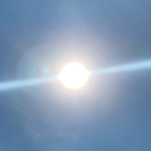 Meet your Posher, Damone